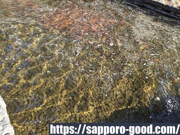 名水ふれあい公園の壁泉2