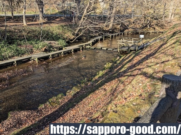 名水ふれあい公園の散策路1