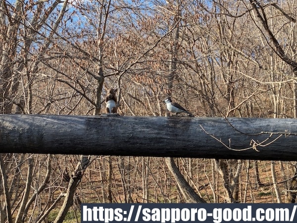 名水ふれあい公園の散策路4